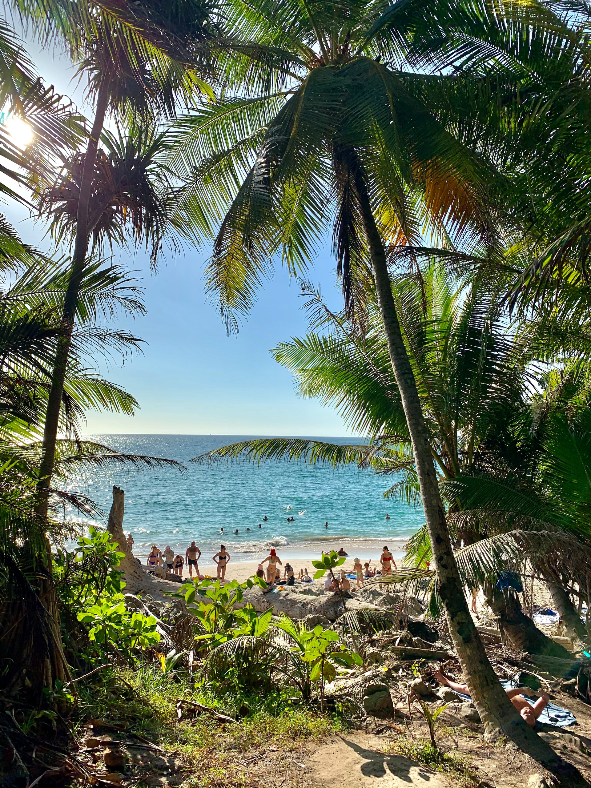 en travl strand i Phuket med palmetræer