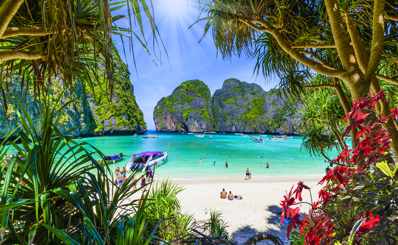 Tropisk strandlandskab på Phi Phi Island, Phang Nga Bay, Thailand med frodige palmer og blødt sand