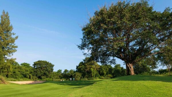 Find en naturskøn golfbane på Banyan Golf Club i Hua Hin med et velholdt grønt landskab og høje, modne træer. Perfekt til golfelskere, der