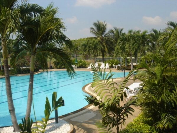 Resort swimmingpool med palmelandskab