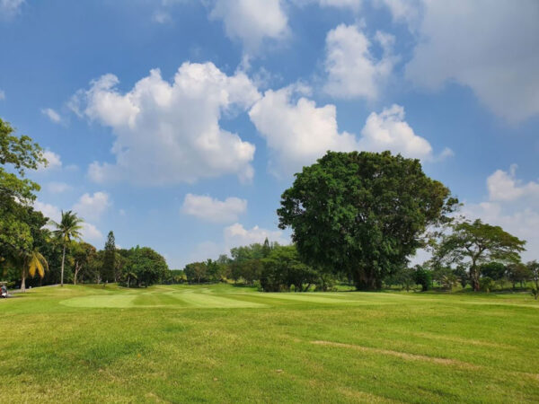 Golfbane ved Burapha Resort, omringet af høje træer under klar blå himmel