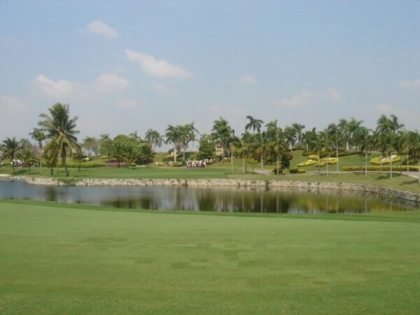 Golfbane omgivet af palmetræer med en malerisk dam - Burapha Resort