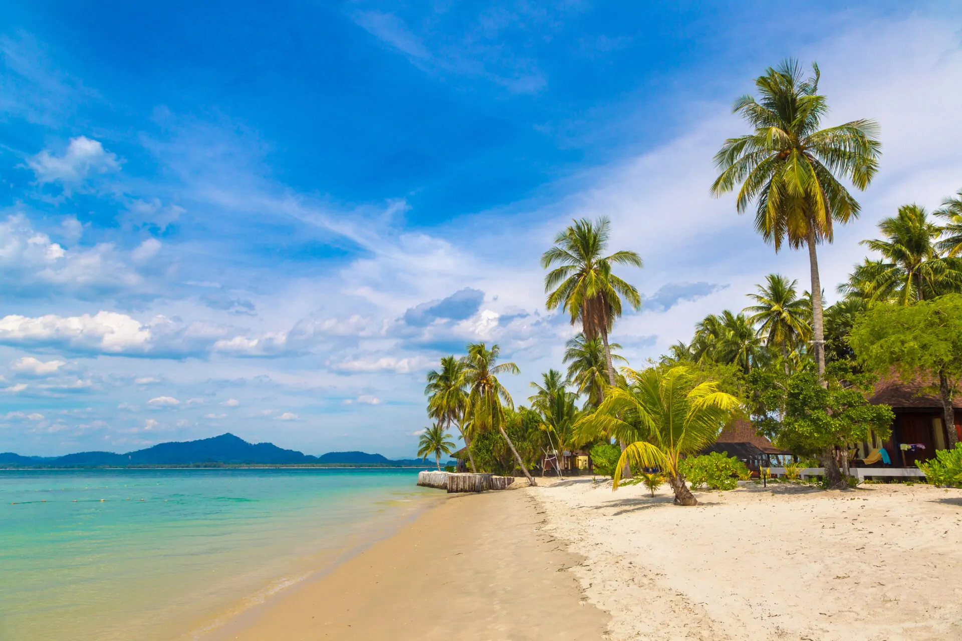 Udækket paradis strand i Thailand med palmer, klart blåt himmel og roligt azurblåt hav. Idyllisk uforstyrret turistdestination, der viser