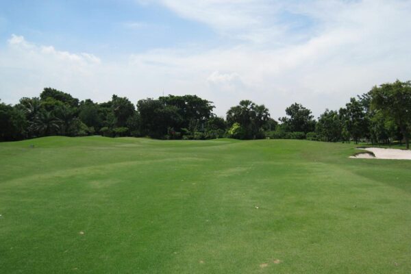 Find smukke golfbaner på Green Valley Country Club med frodige landskaber, omhyggeligt arrangerede træer og strategisk placerede