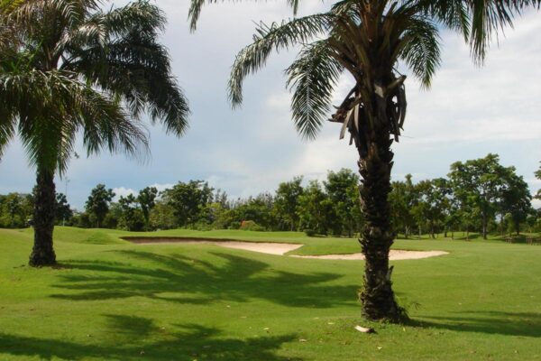 Find billeder af den naturskønne Green Valley Country Club golfbane i Bangkok, med palmer og sandbunkere.
