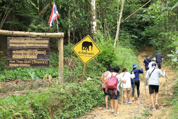 Gruppe af turister, der går på en junglesti nær 500Rai Floating Resort