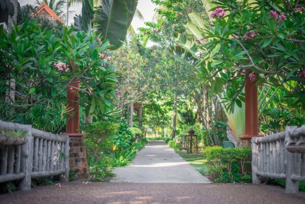  tropisk have ved Chada Lanta Beach Resort, Thailand. Sti omgivet af grønne planter fører til resortets have.