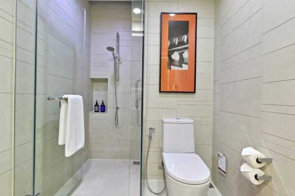 Eastin Grand Hotel Sathorns badeværelse indeholder faciliteter såsom toilet, bruser og håndvask.