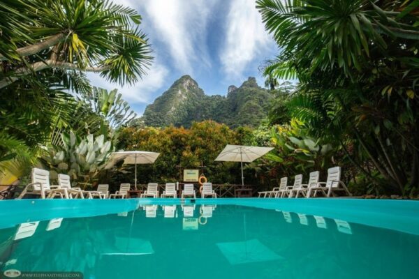 Swimmingpool på Elephant Hills resort, palmer og bjergkulisse