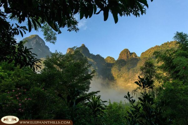  tågede bjergkæder med træer i baggrunden hos Elephant Hills