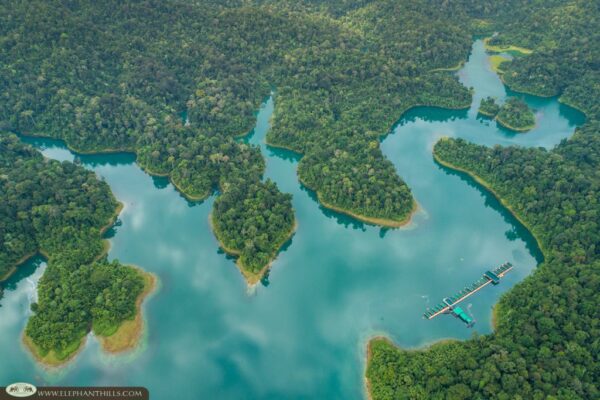 Aerial Elephant Hills Jungle Lake Camp placeret i en dyb, frodig jungle, med en charmerende sø omgivet af rigt grønt landskab