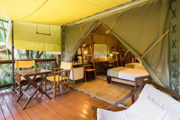 Charmende teltovernatning ved Hintok River Camp med komfortabel seng og hyggelig loungestole