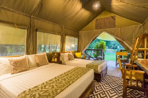 Hintok River Camp: Jungle view telt med to senge. Perfekt indkvartering for eventyrlystne rejsende, der elsker udendørs.