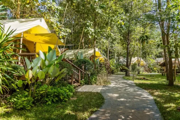 Junglesti, der fører til Hintok River Camp