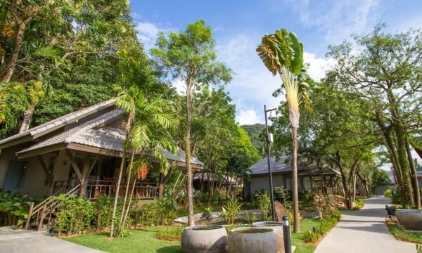 Grøn tropisk ferieresort med frodig vegetation og træer: KC Grande Resort