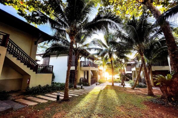 Kacha Resort omgivet af palmetræer og sti