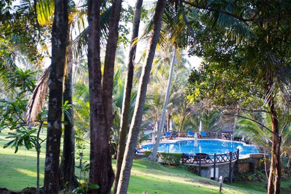 Koh Kood Beach Resort med swimmingpool omgivet af frodige træer.
