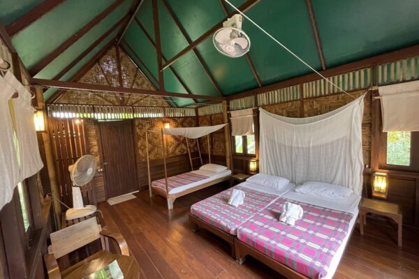 Jungle Camp overnatningsmuligheder med senge og ventilator
