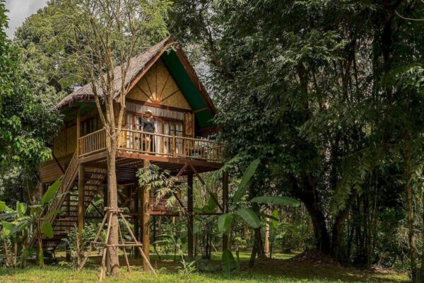 Beliggende i et frodigt, grønt skovmiljø, tilbyder resortet fredfyldte junglecampingindkvartering. Faciliteterne omfatter komfortable