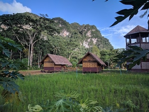 Billige junglehytter midt i en grøn eng, ideelt for udendørsovernatning, naturglæde og campingtur. Oplev den vilde atmosfære af at bo midt i