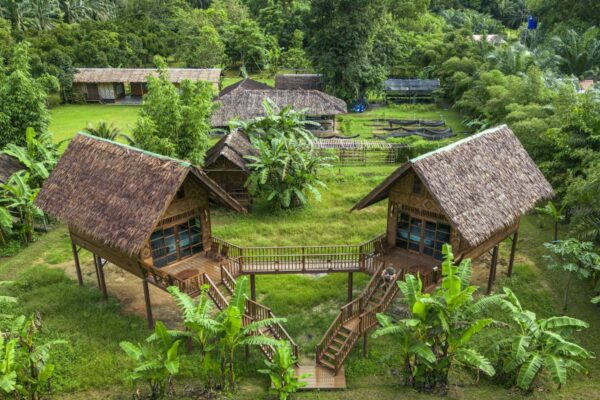 Billeder af Jungle Camp resort i Thailand, udsigt fra oven. Overnatning i junglen, træhytter omgivet af frodig grøn natur. Perfekt