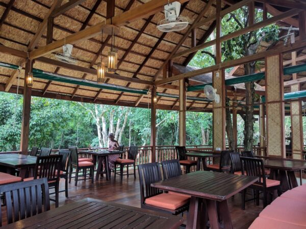 Restaurant i junglecamp med borde og stole omgivet af skovområde