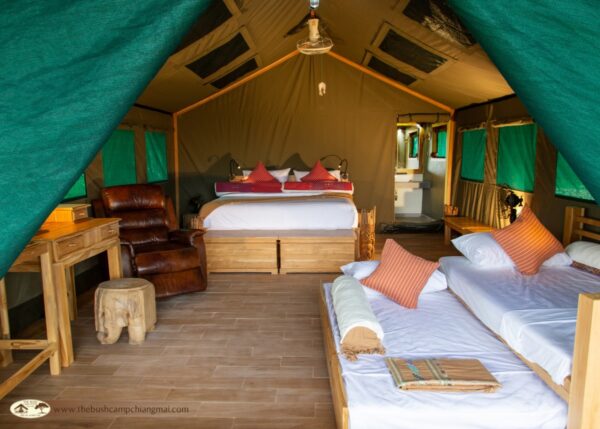Rustik telt indkvartering på Elephant Hills Bush Camp med komfortabel seng og natbord - perfekt til eventyrlystne rejsende, der søger en