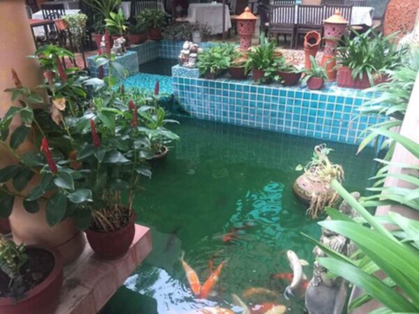 Søger du et hotel i Hua Hin med fokus på naturlig skønhed? Wannara Hotel Hua Hin huser en flot dam med koi fisk, omgivet af pottede planter