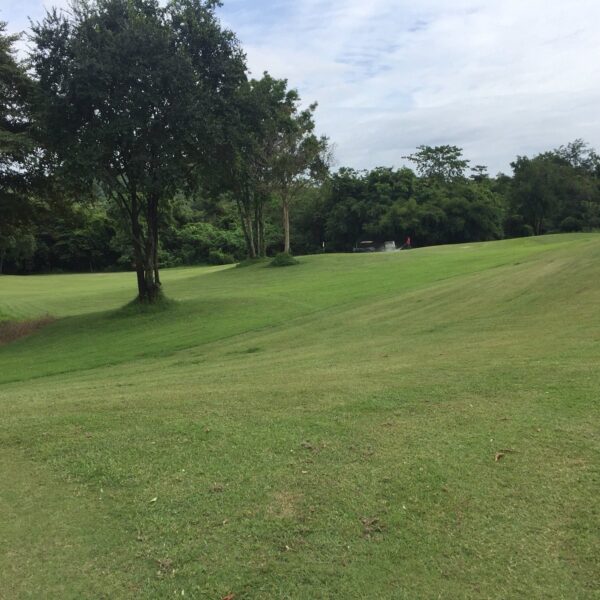Golfbane med træer og græsplæne på Hua Hin Golf & Country Club