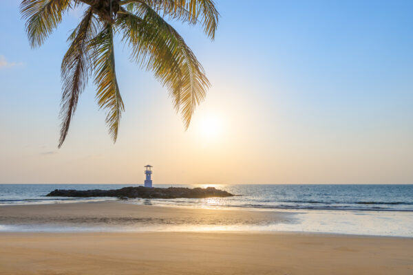 Ø-strand med palmetræ og fyrtårn