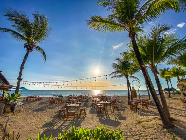 Strandrestaurant under palmer med borde og stole