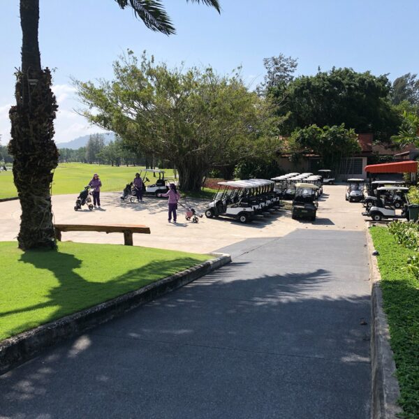 Parkerede golfvogne i en palmepark i Laguna