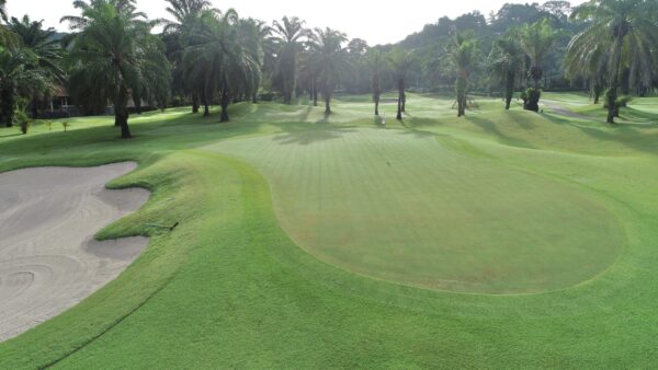 Overhead view af Loch Palm Golf Club i Phuket med omgivende palmer