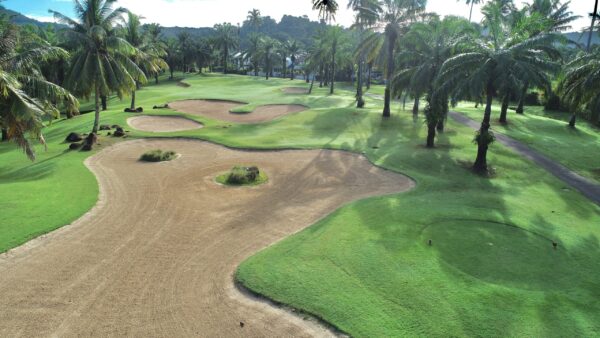 Luft Loch Palm Golf Club med palmer