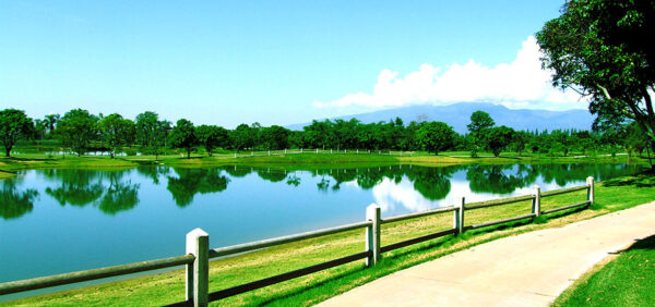 Mae Jo Golf Club & Resort Chiang Mai: Billeder af grønne golfbaner med sø og høje træer