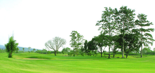 Oplev golf i frodige omgivelser på Mae Jo Golf Club i Chiang Mai. Vores golfbane er omgivet af grønne træer og velplejet græslandskab.