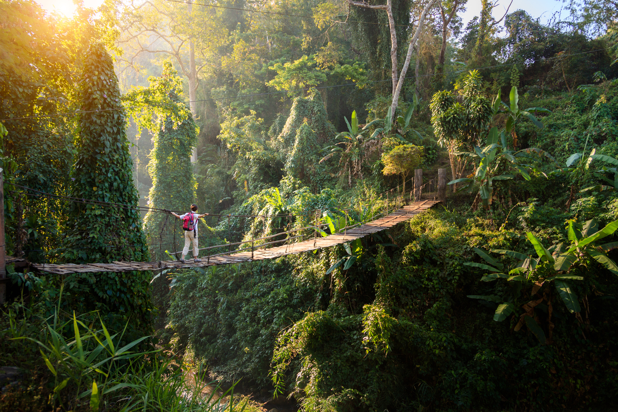 Oplev f.eks. en tur i junglen på en  eventyrrejse