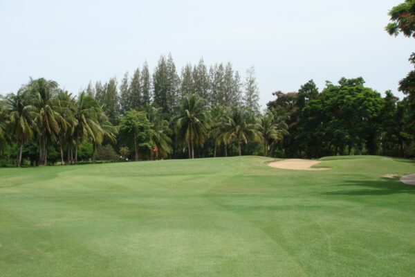 Palm Hills Golf Club i Hua Hin med grønt græs og palmer