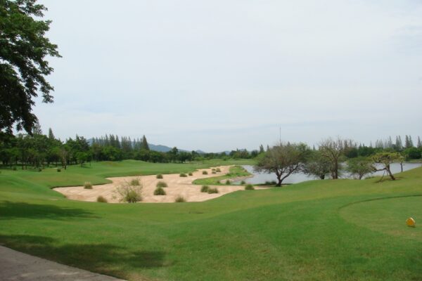 Nyd en runde golf på Palm Hills Golf Club omgivet af frodigt grønt græs og naturskøn udsigt.