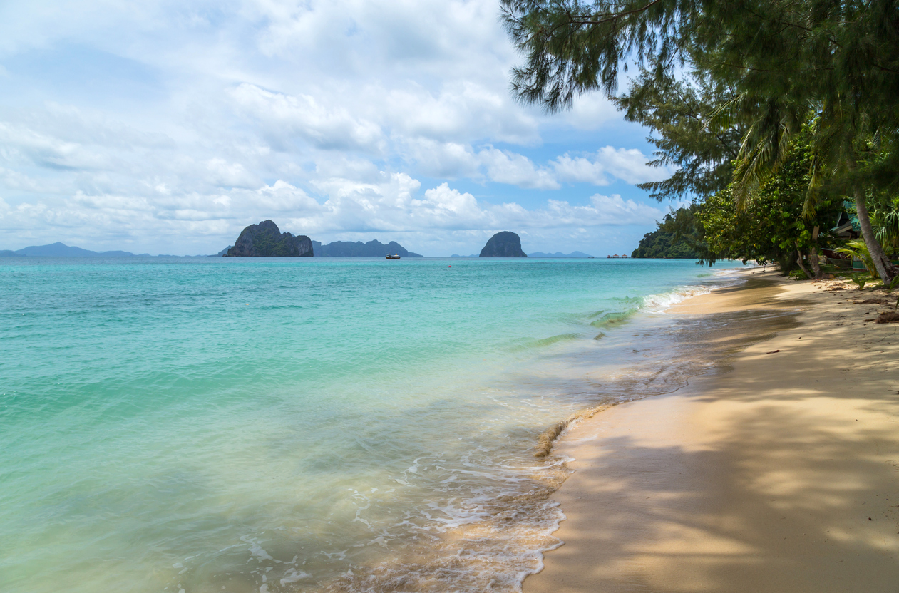 Thailand Beach billede med sand, træer og hav i baggrunden