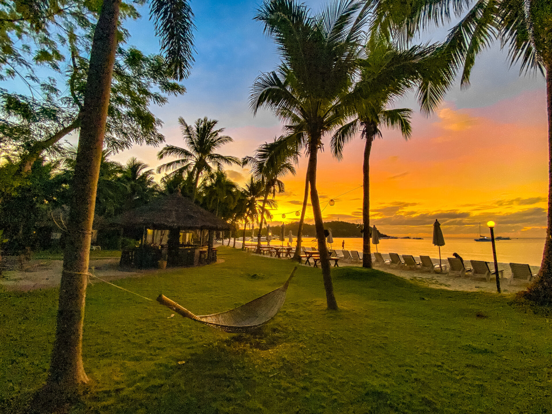 Tropisk Koh strand ved solnedgang med palmer