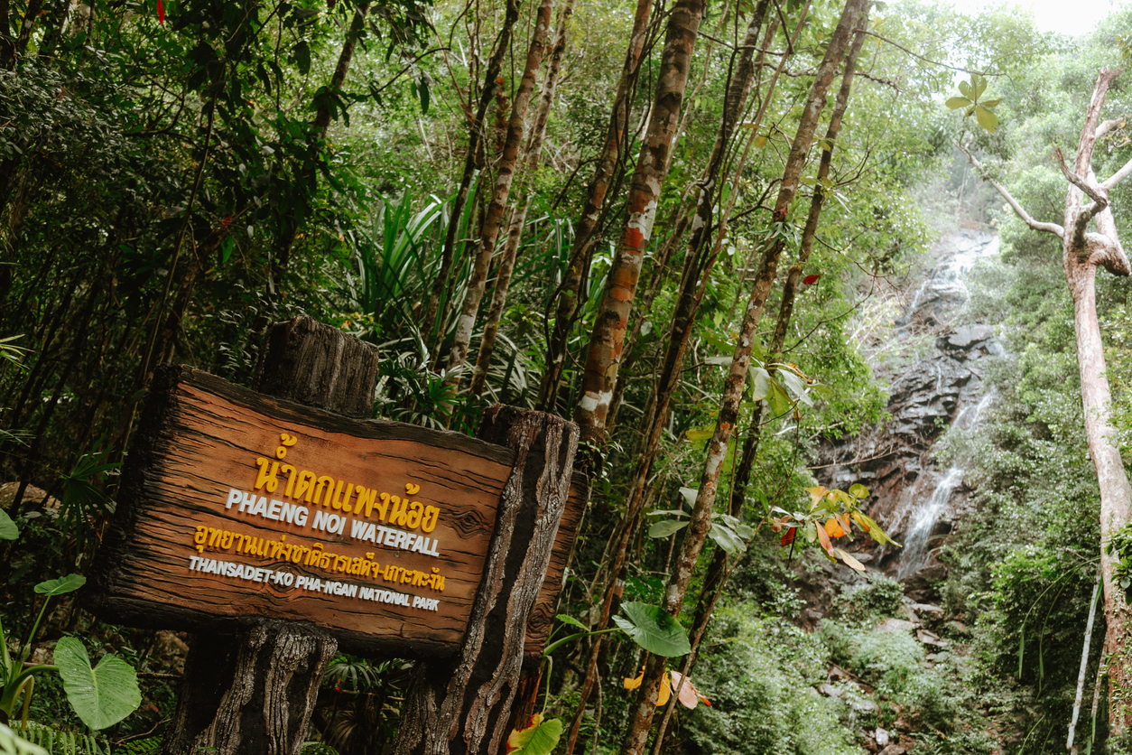 Natmarked skilt i jungle ved vandfald: billedsøgning
