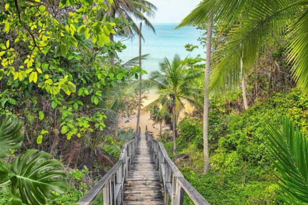 Træ gangbro til stranden i Thailand