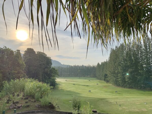  Red Mountain Golf Club banen, med træer i baggrunden