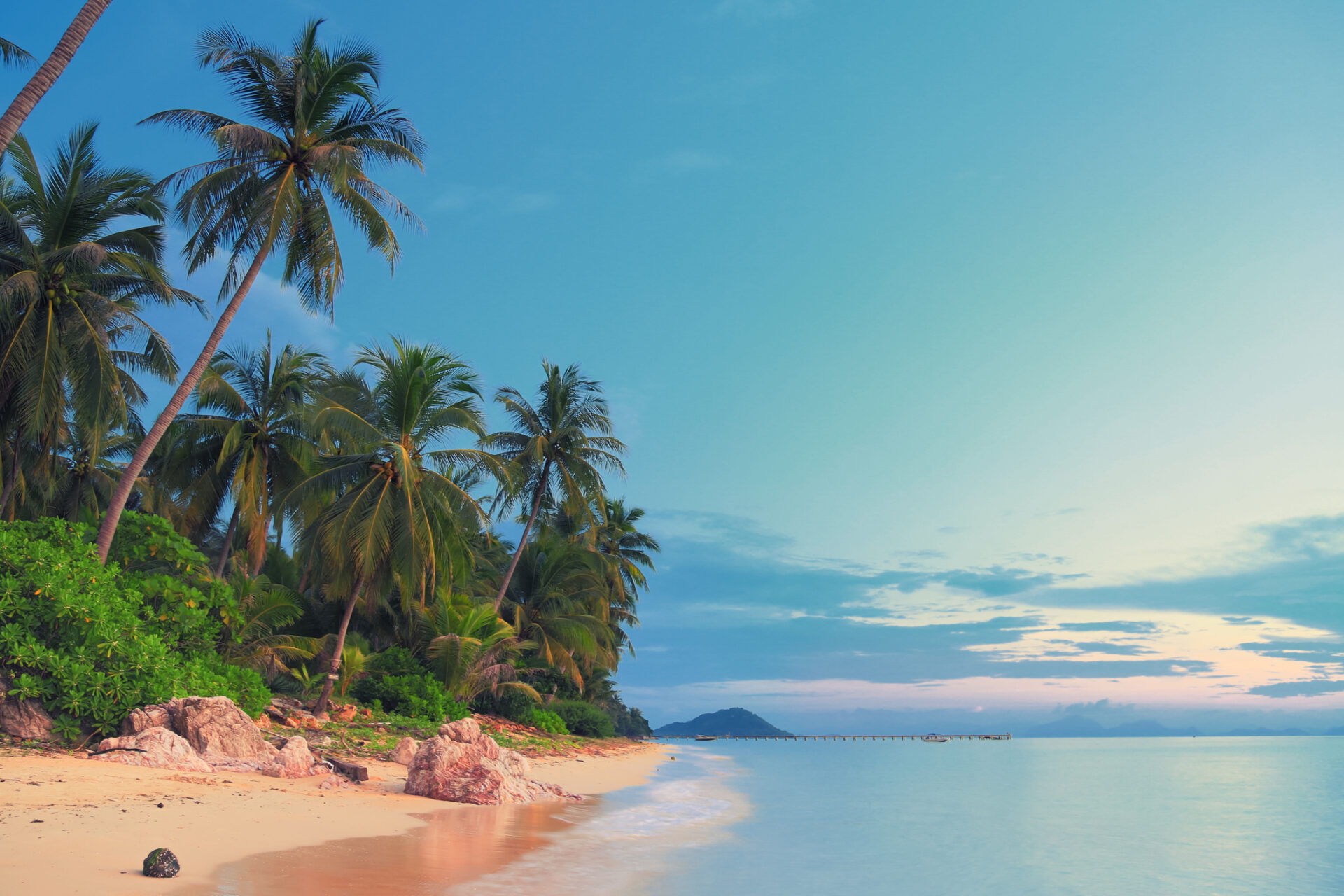 Eksotisk tropisk strand med palmer, sandstrand og krystalklart vand