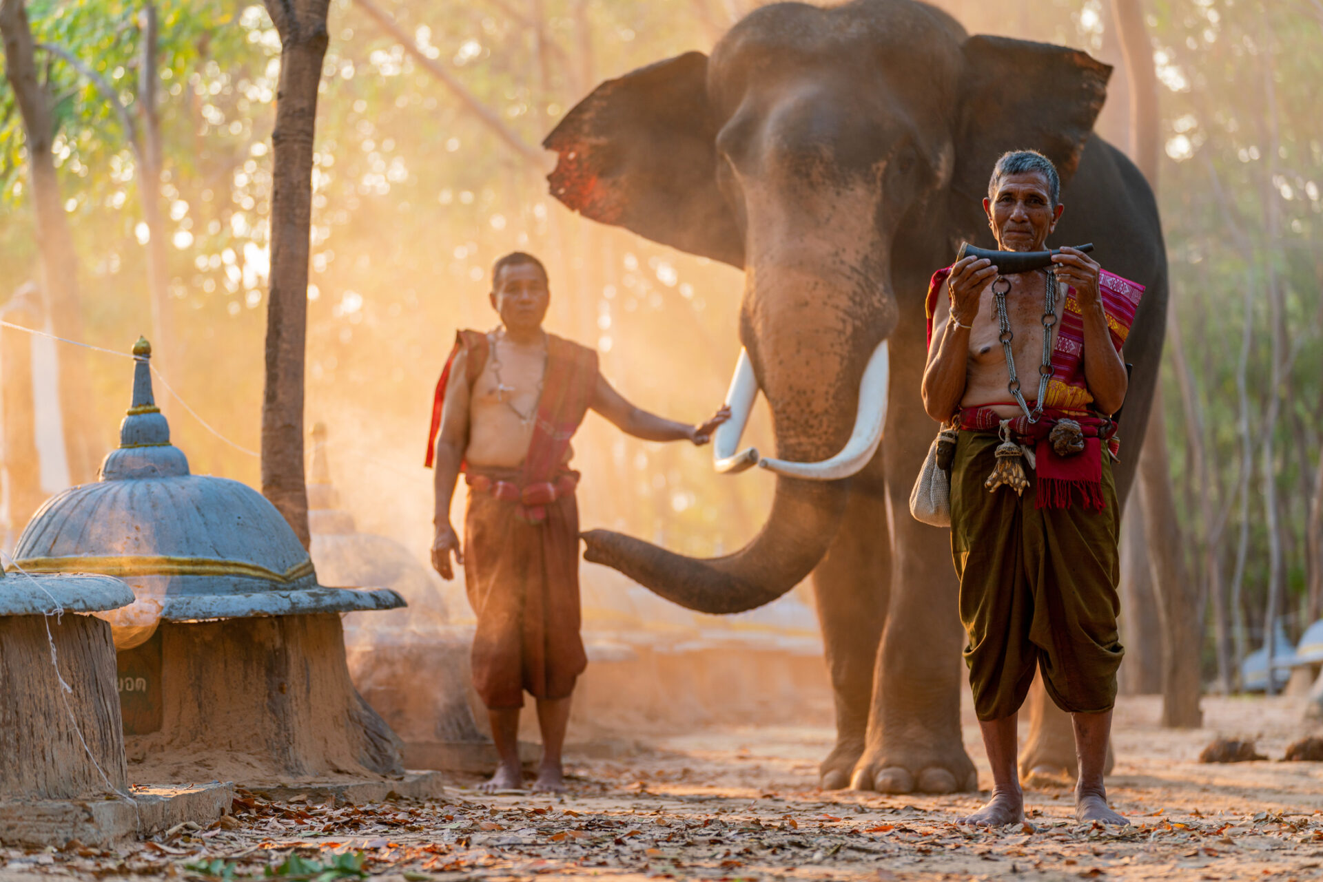 Elefanttur i Chiang Mai: To mænd står ved siden af en elefant