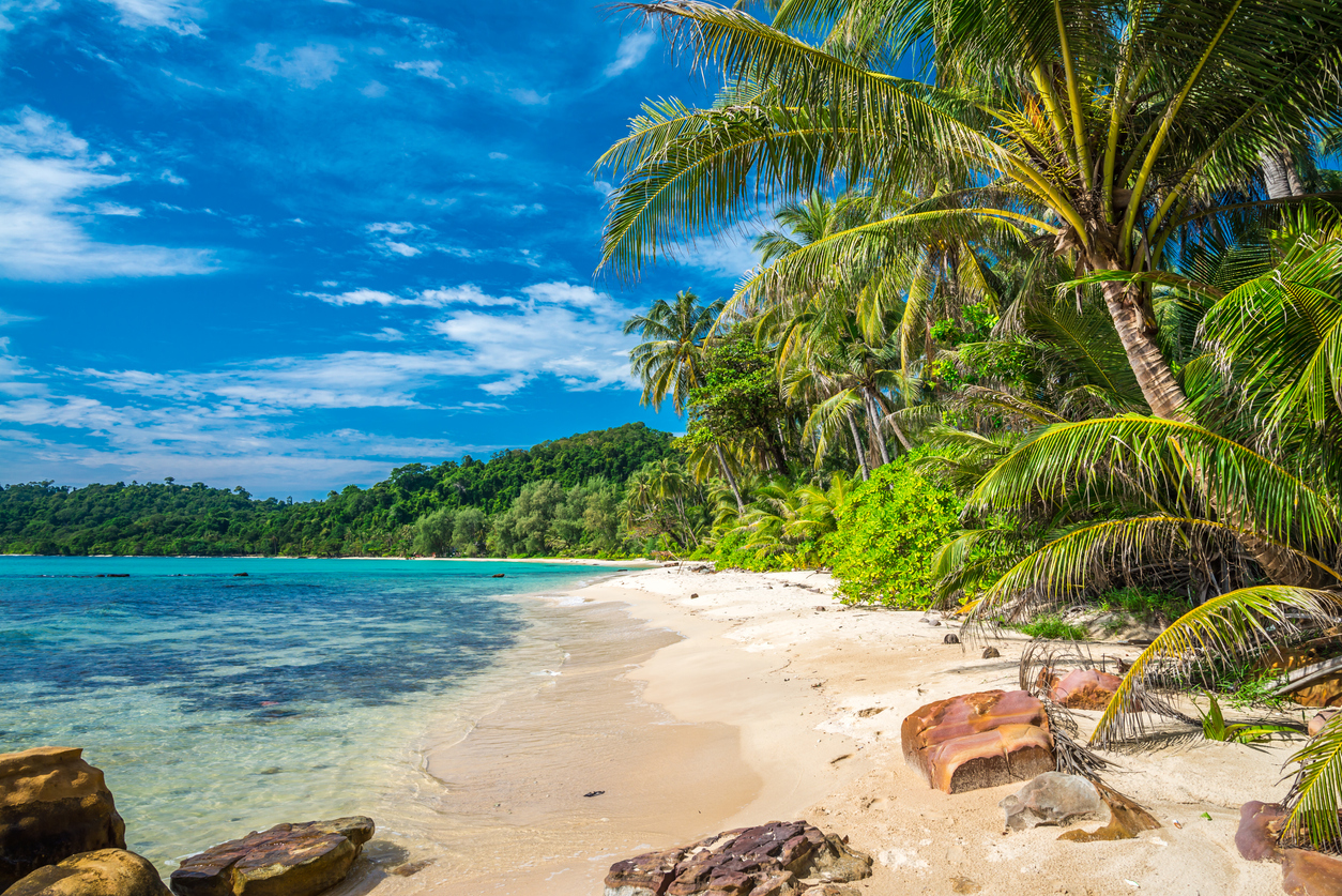 Thailandsk strand med palmetræer og blåt vand