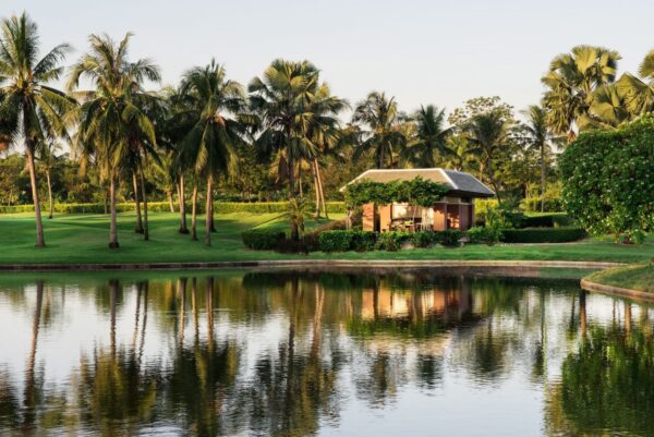 Bangkok golfbane Thai Country Club med palmer og dam
