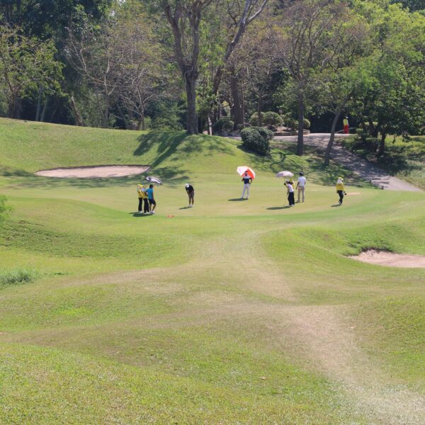 Billeder af Emerald Golf Club i Pattaya, folk spiller golf på Emerald Golf Club, grupper på golfbanen i Pattaya. se atmosfære og omgivelser
