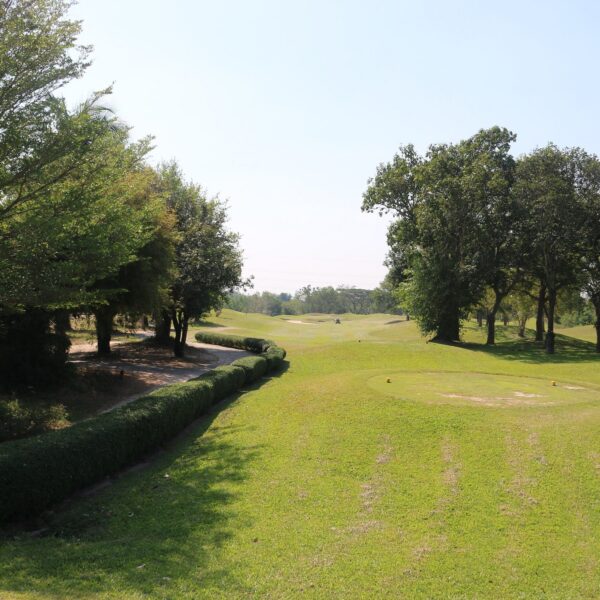 Emerald Golf Club Rayong, grønt golfbaneområde